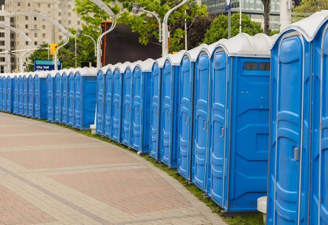 Seasonal porta potty units set up at a Davison, Michigan venue